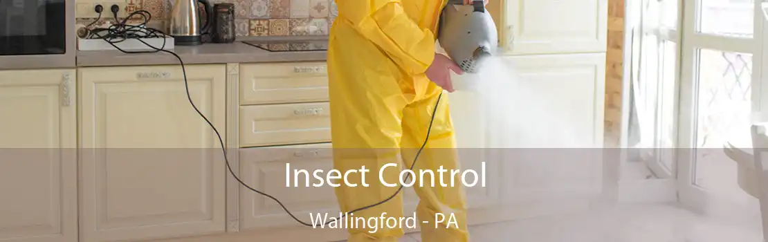 Insect Control Wallingford - PA