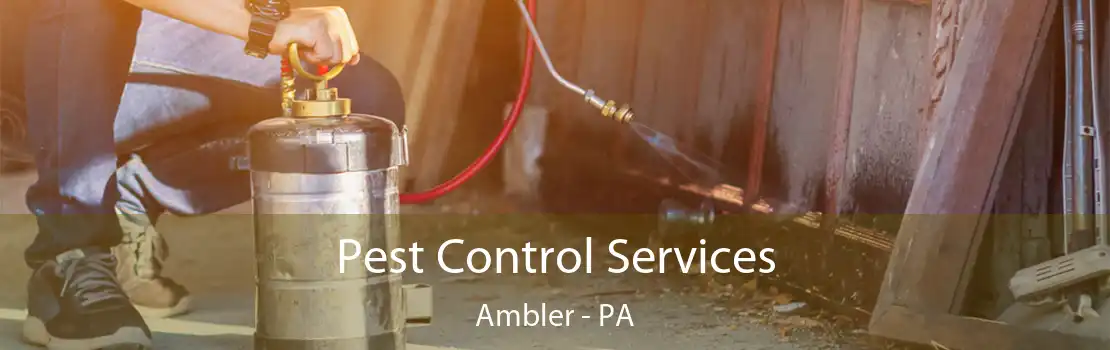 Pest Control Services Ambler - PA