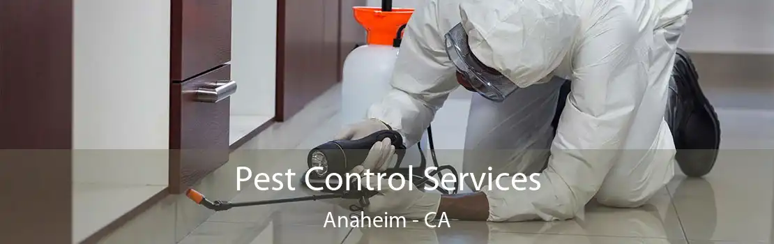 Pest Control Services Anaheim - CA