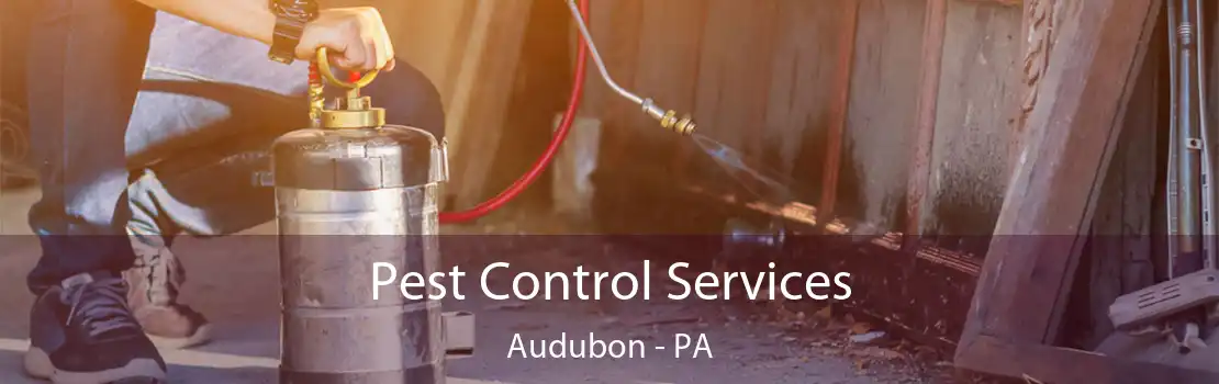 Pest Control Services Audubon - PA