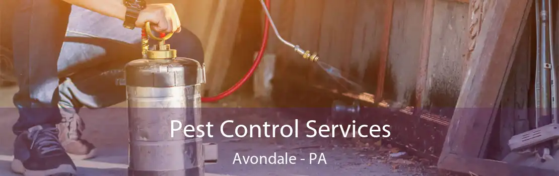 Pest Control Services Avondale - PA