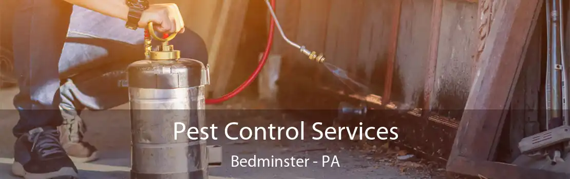 Pest Control Services Bedminster - PA