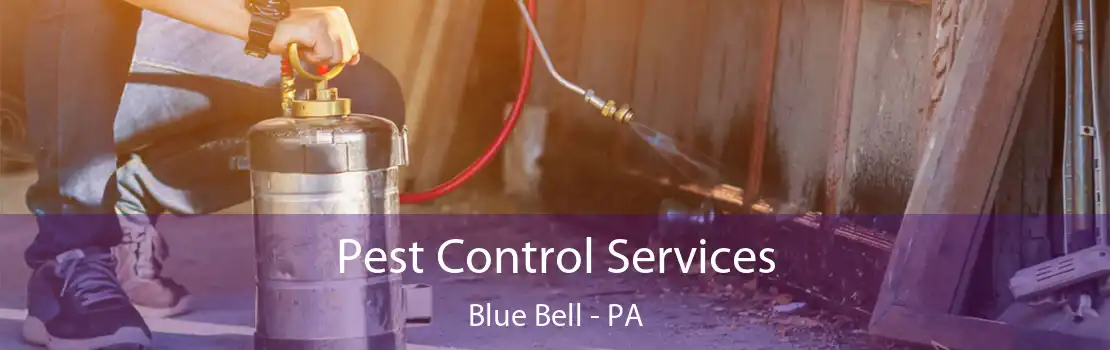 Pest Control Services Blue Bell - PA