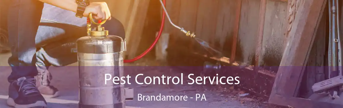 Pest Control Services Brandamore - PA