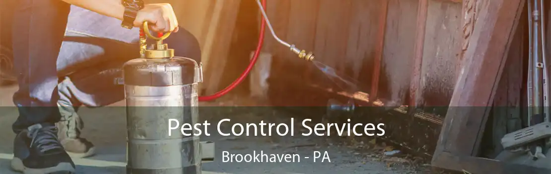 Pest Control Services Brookhaven - PA