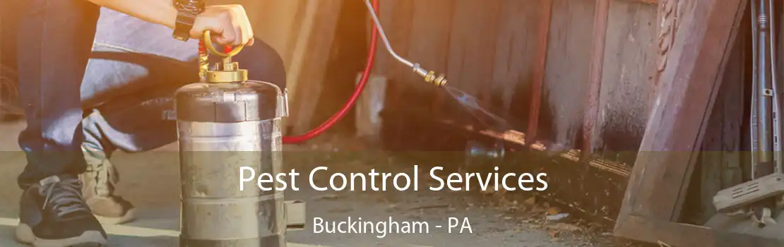 Pest Control Services Buckingham - PA