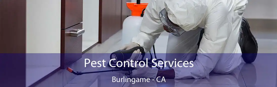 Pest Control Services Burlingame - CA