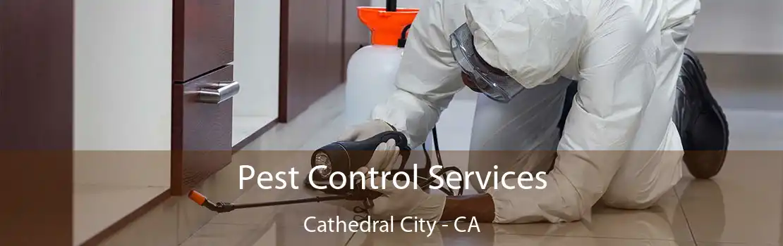 Pest Control Services Cathedral City - CA