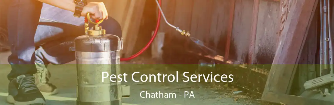 Pest Control Services Chatham - PA