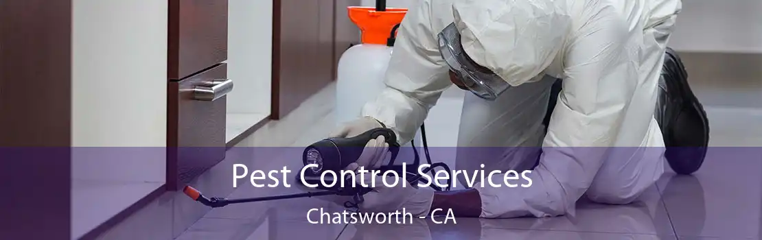 Pest Control Services Chatsworth - CA