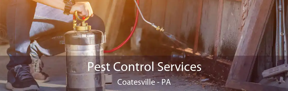 Pest Control Services Coatesville - PA