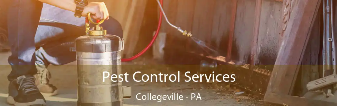 Pest Control Services Collegeville - PA