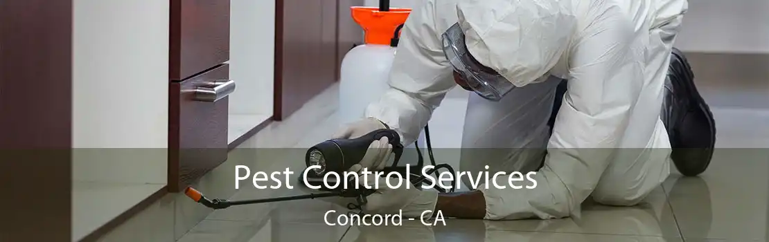 Pest Control Services Concord - CA