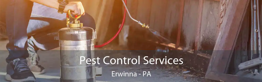 Pest Control Services Erwinna - PA