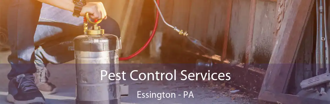 Pest Control Services Essington - PA