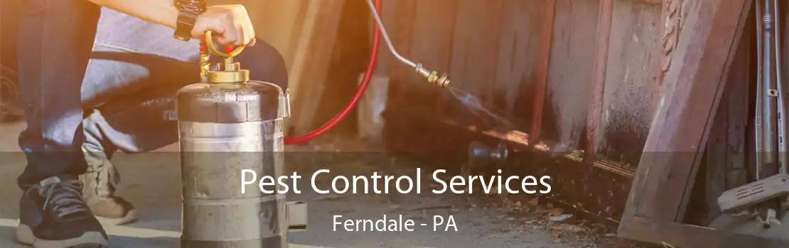 Pest Control Services Ferndale - PA