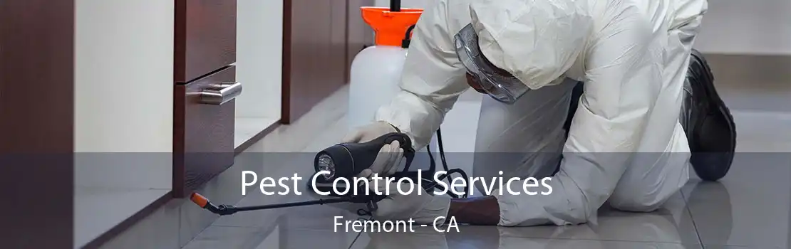 Pest Control Services Fremont - CA