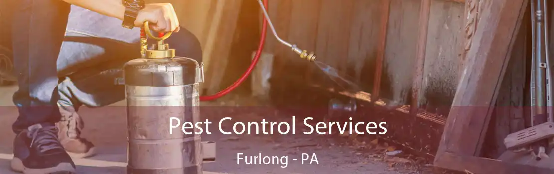 Pest Control Services Furlong - PA