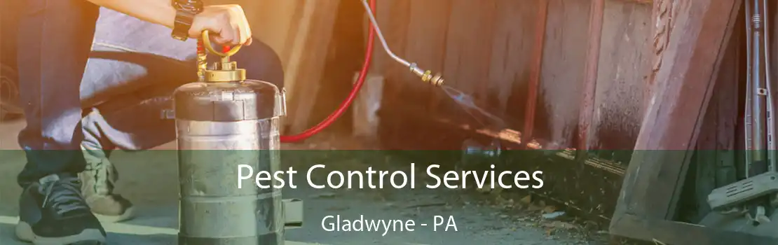 Pest Control Services Gladwyne - PA