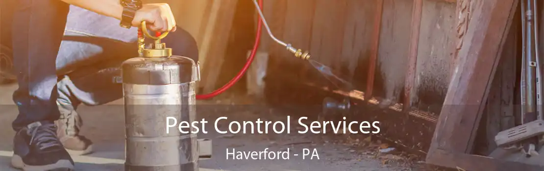 Pest Control Services Haverford - PA