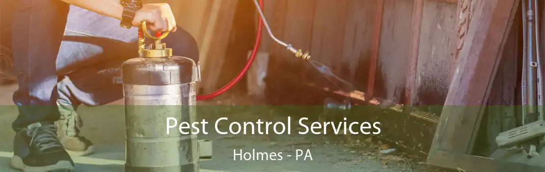 Pest Control Services Holmes - PA