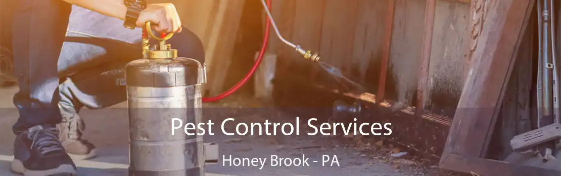 Pest Control Services Honey Brook - PA