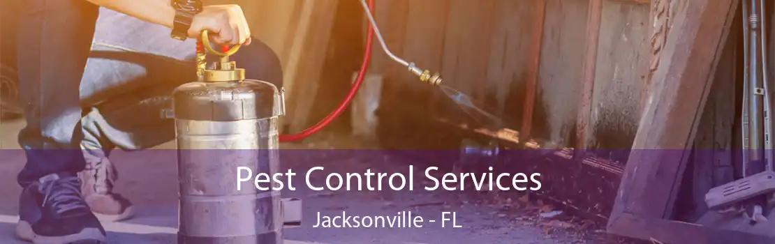 Pest Control Services Jacksonville - FL