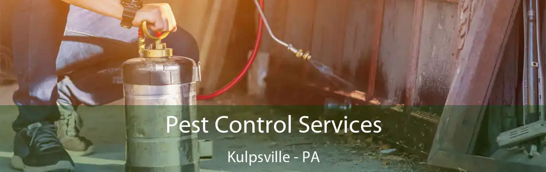 Pest Control Services Kulpsville - PA