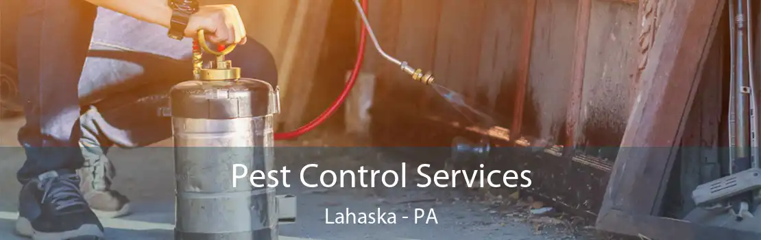 Pest Control Services Lahaska - PA