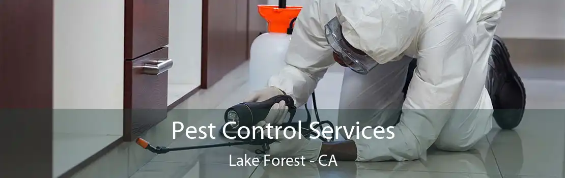 Pest Control Services Lake Forest - CA