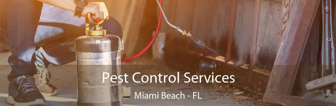 Pest Control Services Miami Beach - FL