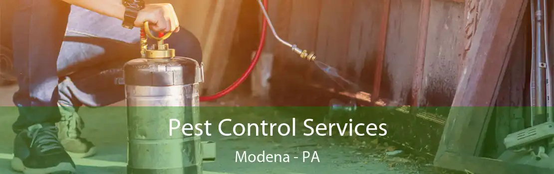 Pest Control Services Modena - PA