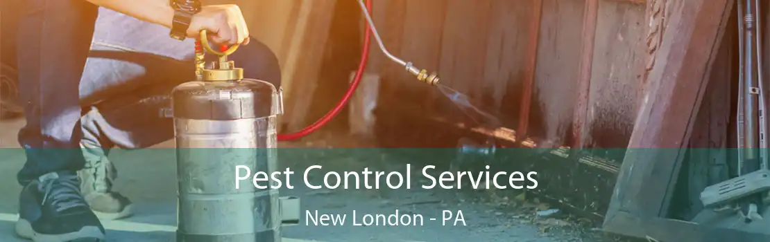 Pest Control Services New London - PA