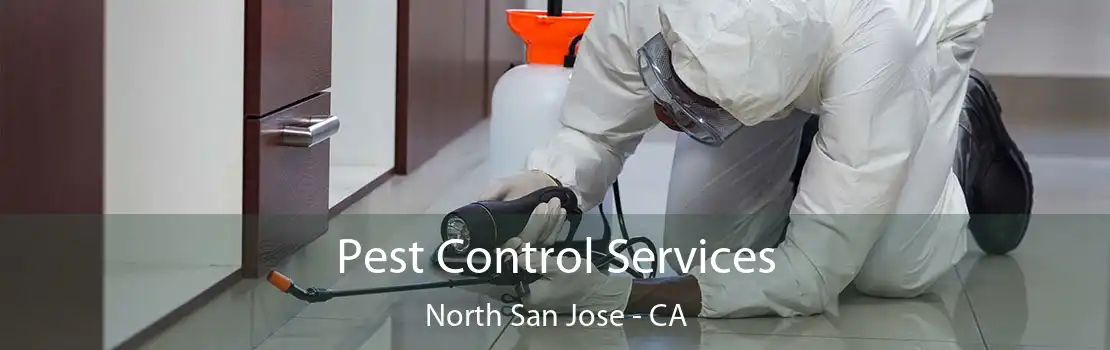 Pest Control Services North San Jose - CA