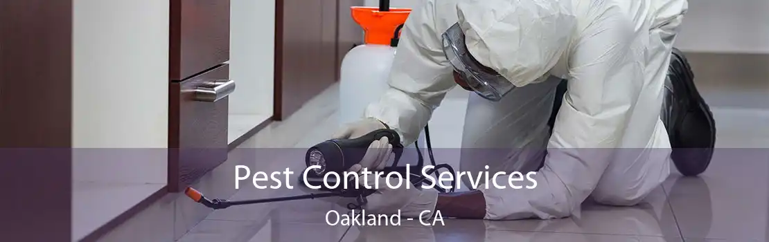 Pest Control Services Oakland - CA