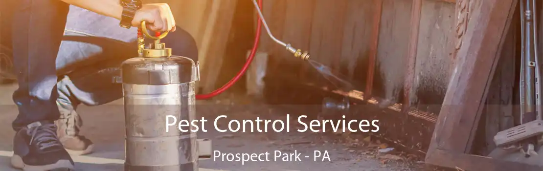 Pest Control Services Prospect Park - PA