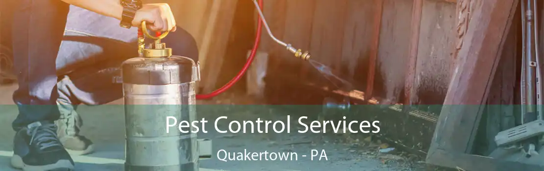 Pest Control Services Quakertown - PA