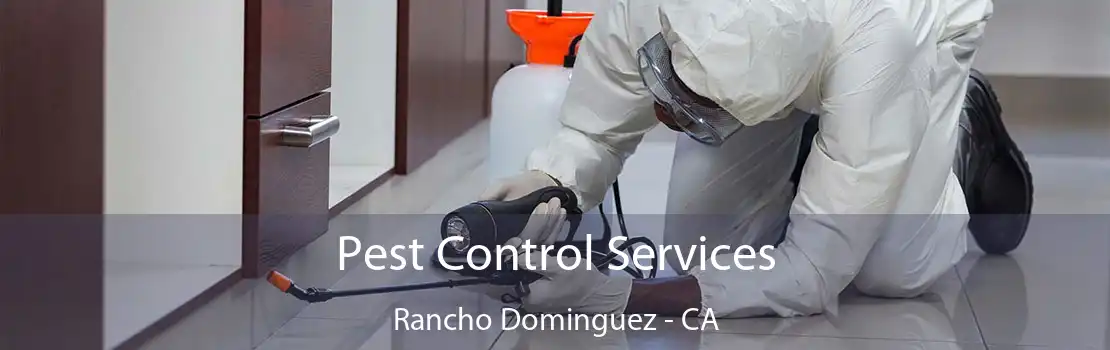 Pest Control Services Rancho Dominguez - CA