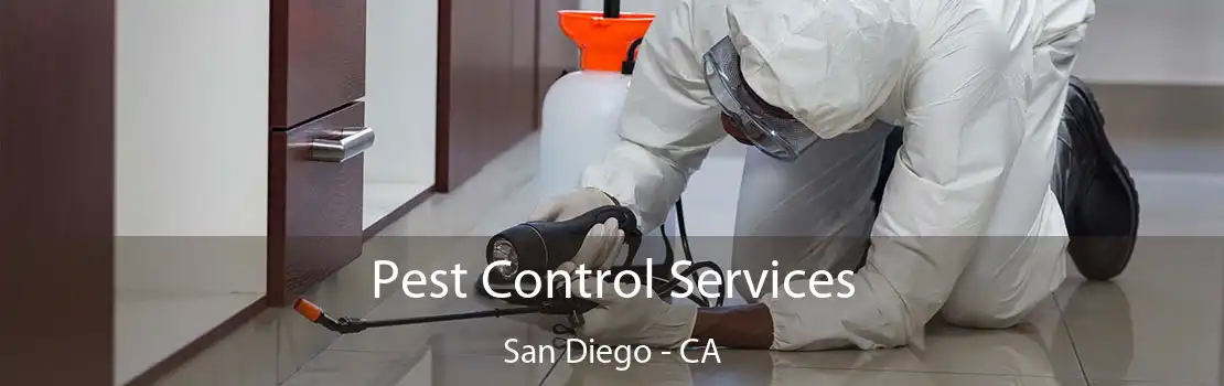 Pest Control Services San Diego - CA