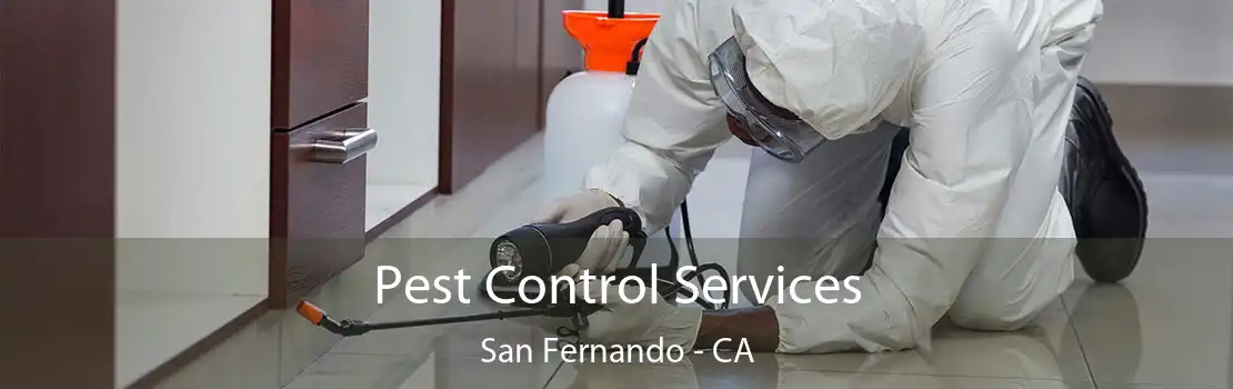 Pest Control Services San Fernando - CA