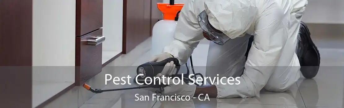 Pest Control Services San Francisco - CA