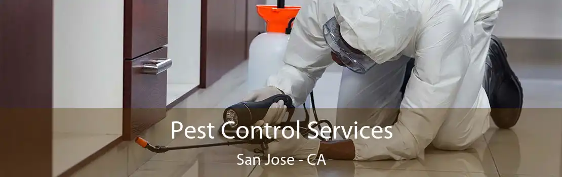 Pest Control Services San Jose - CA