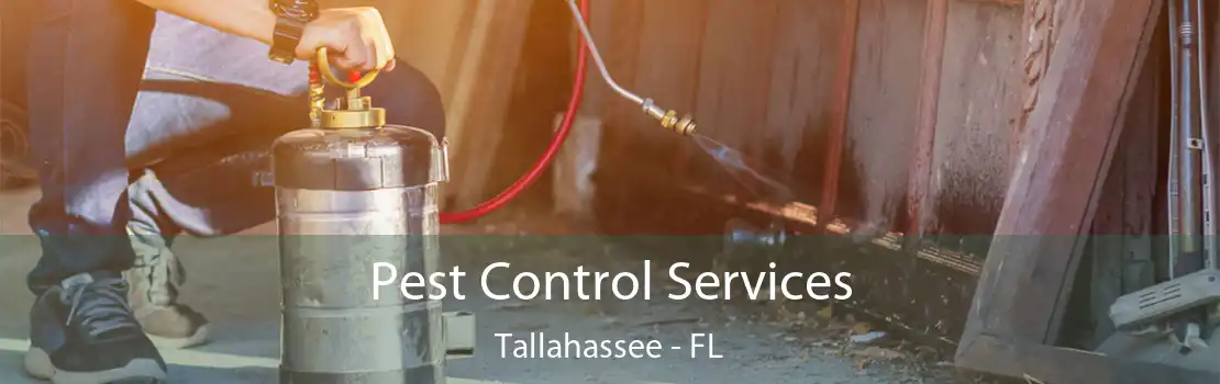 Pest Control Services Tallahassee - FL