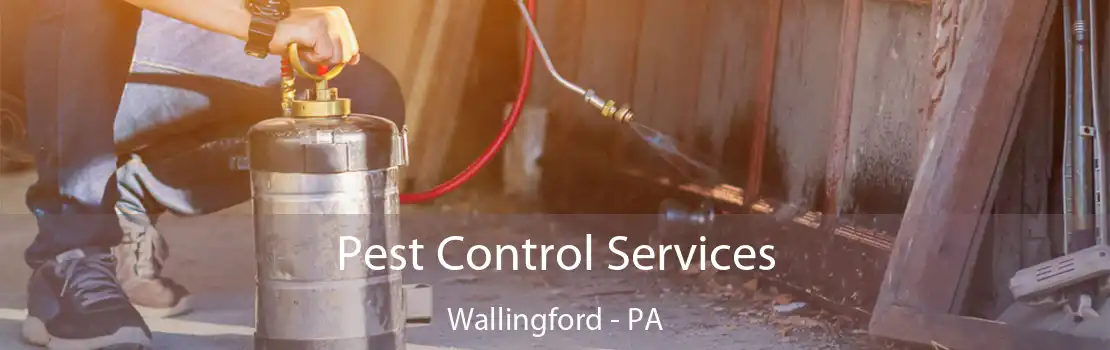 Pest Control Services Wallingford - PA