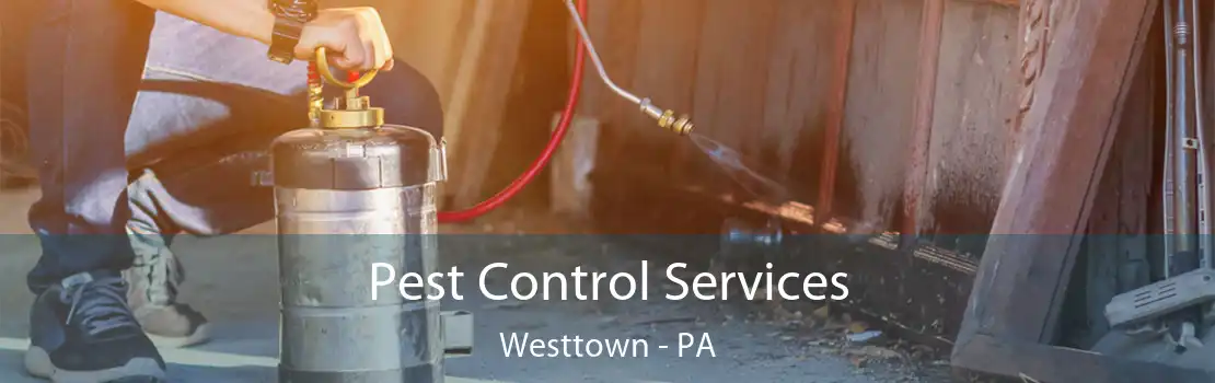 Pest Control Services Westtown - PA