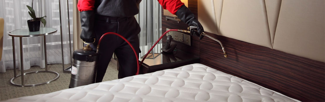 Residential Bed Bug Extermination