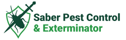 Best Pest Control Services